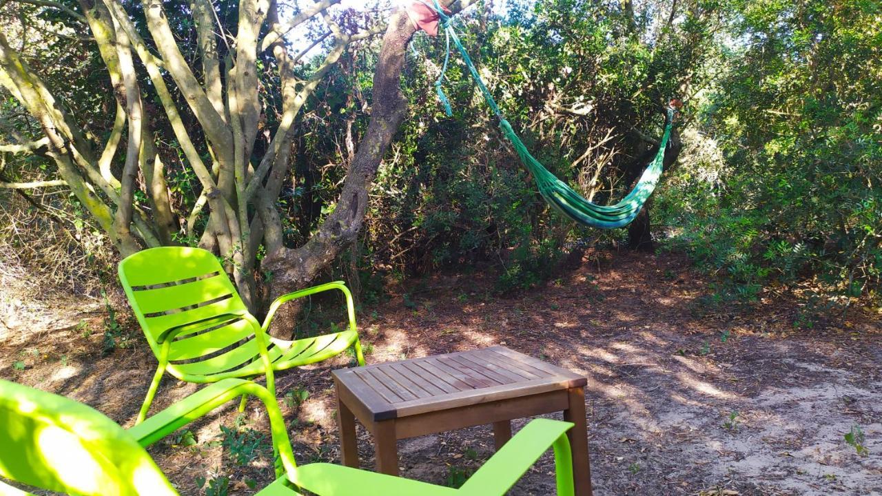 Tulpa Cadiz Campsite *