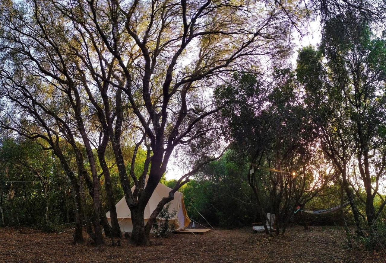 Campsite Tulpa Cadiz *