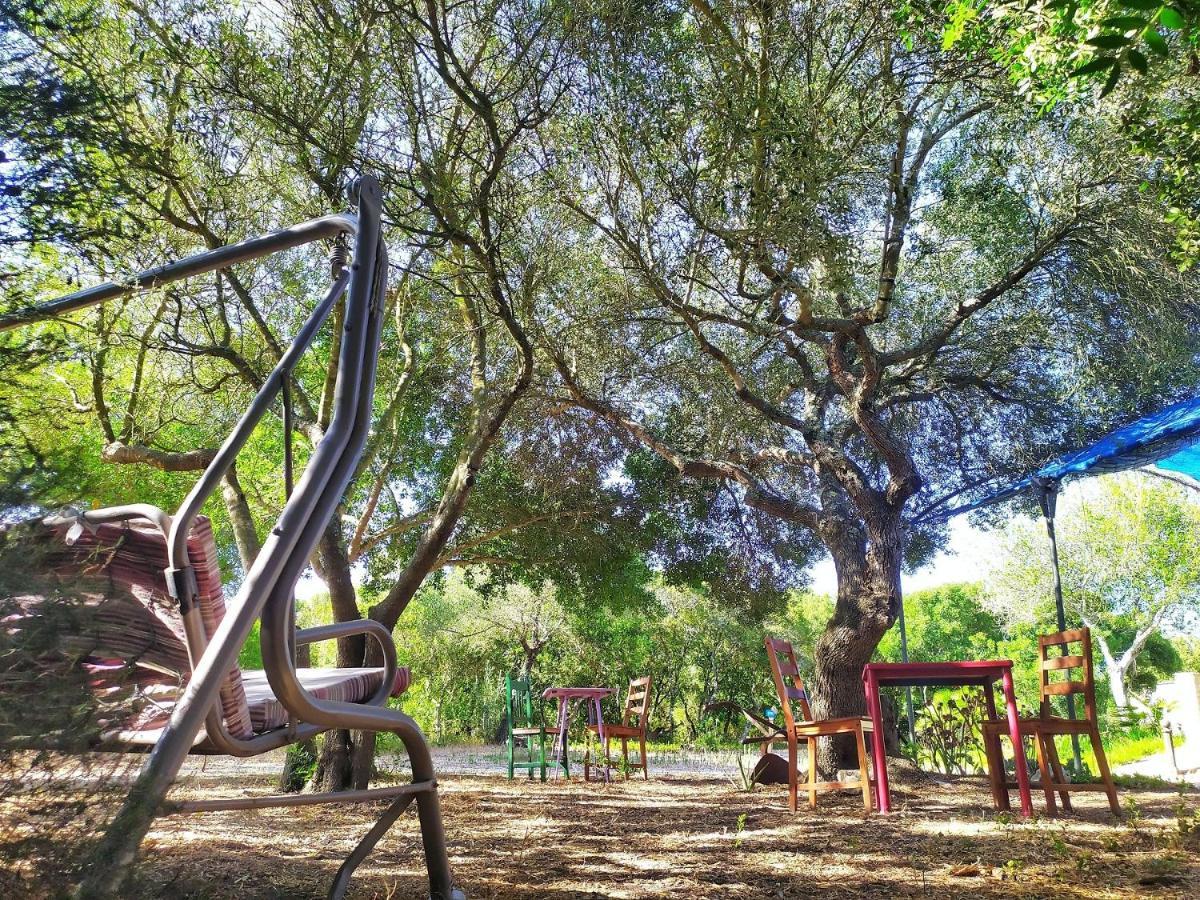 Tulpa Cadiz Camping