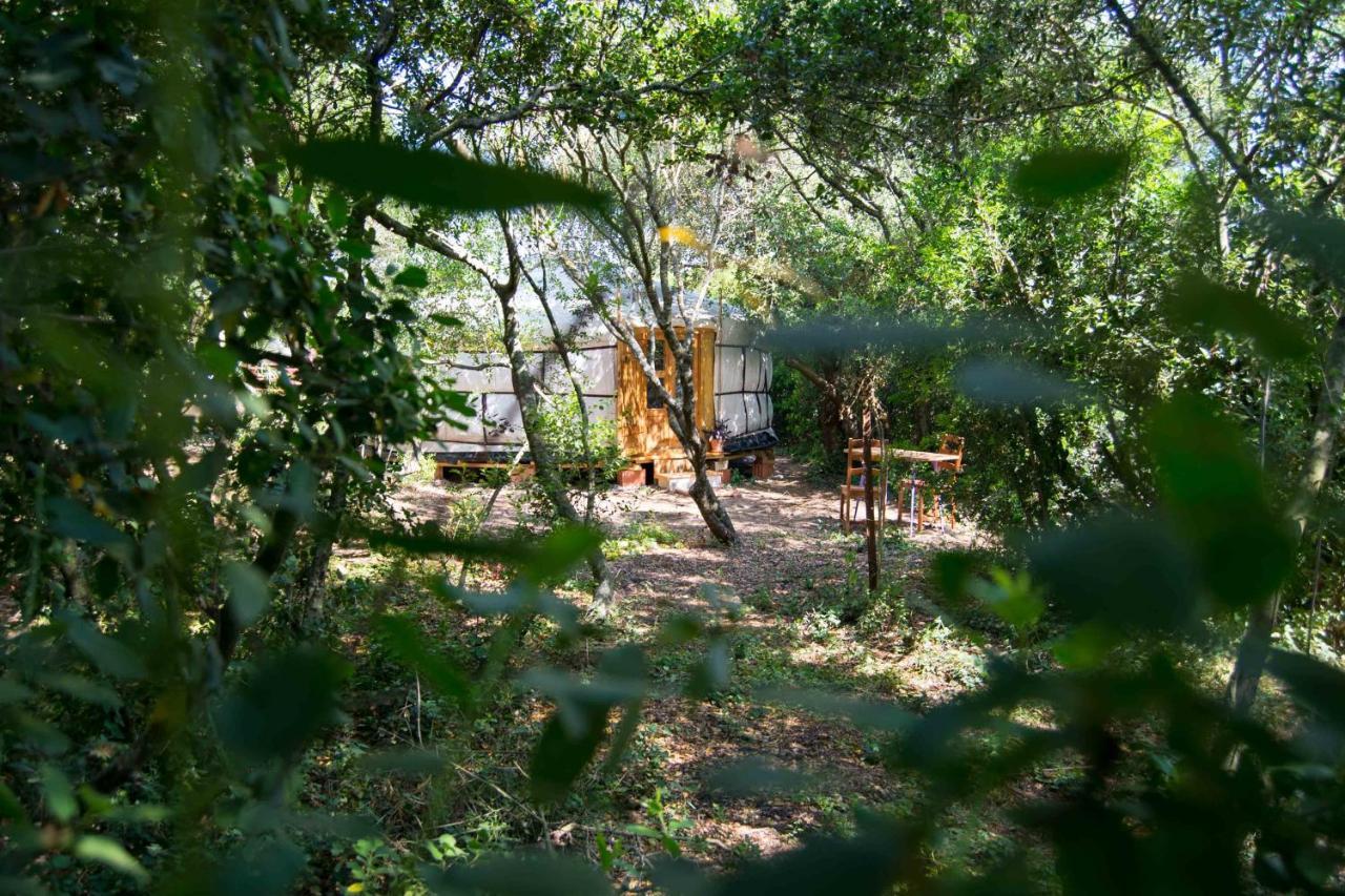 Tulpa Cadiz Camping *