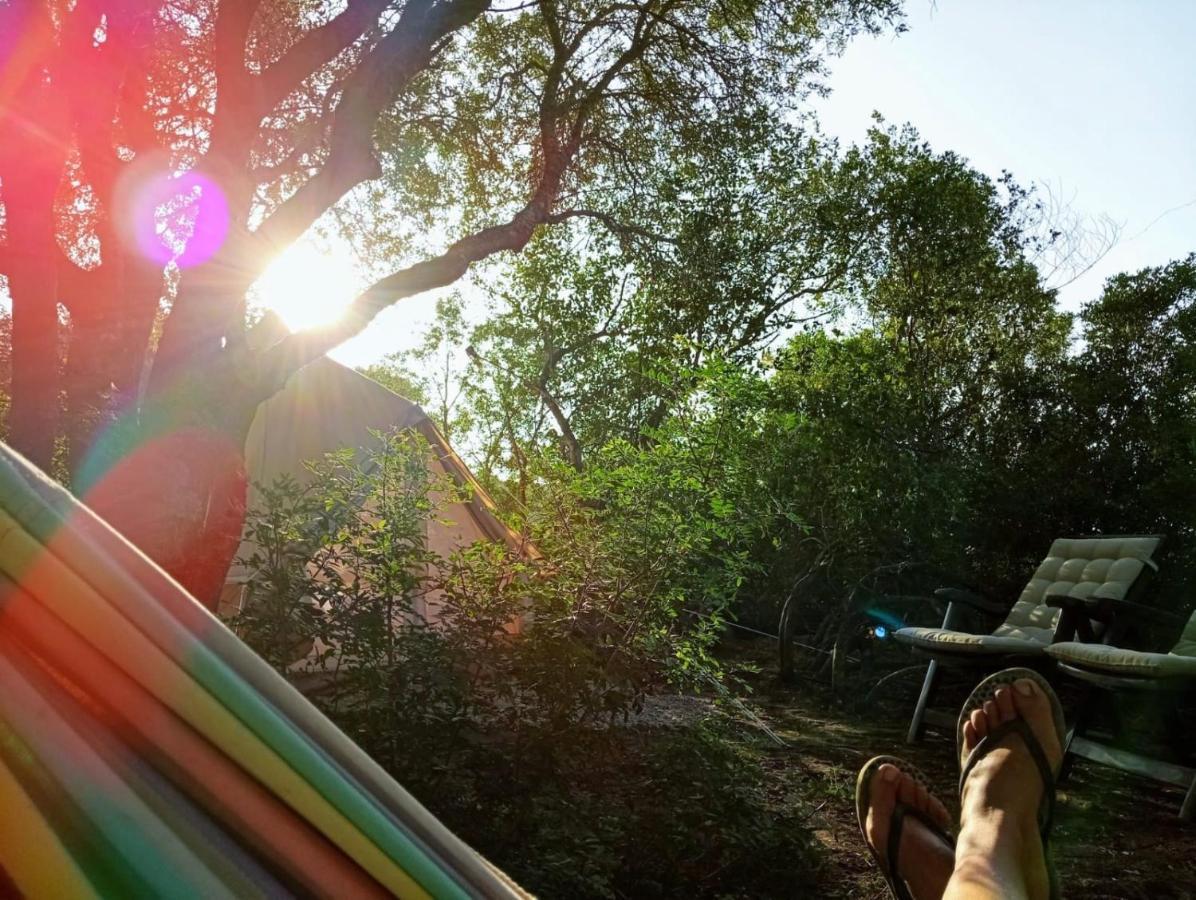 Tulpa Cádiz Camping