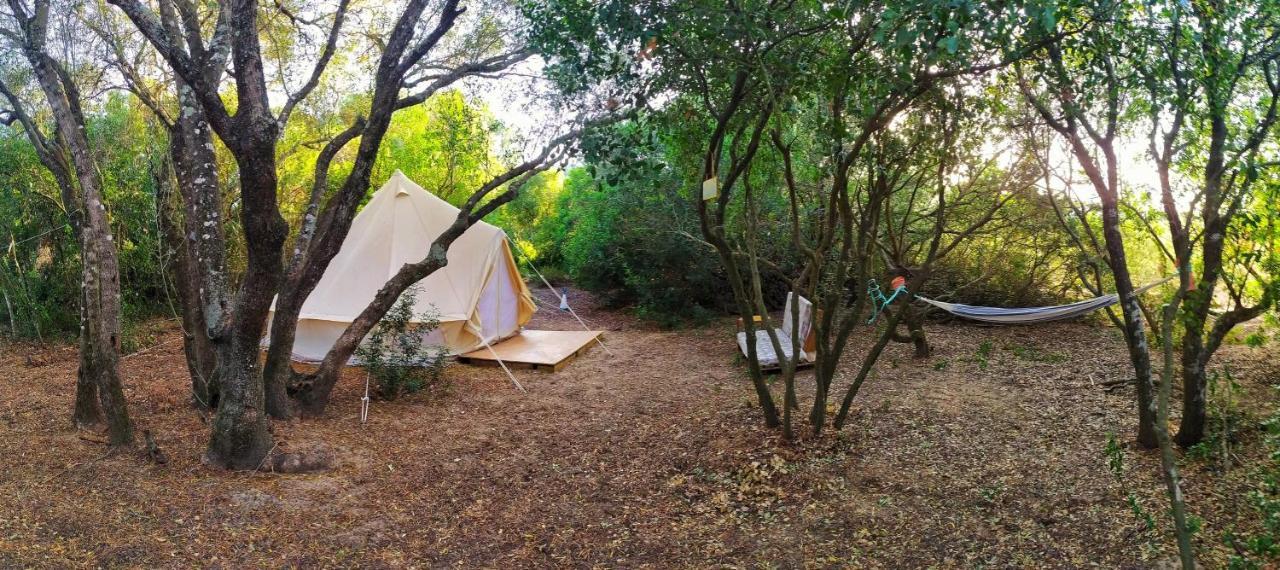 Tulpa Cádiz Camping Malcocinado (Andalucia)