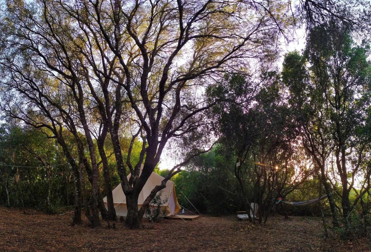 Camping Tulpa Cádiz