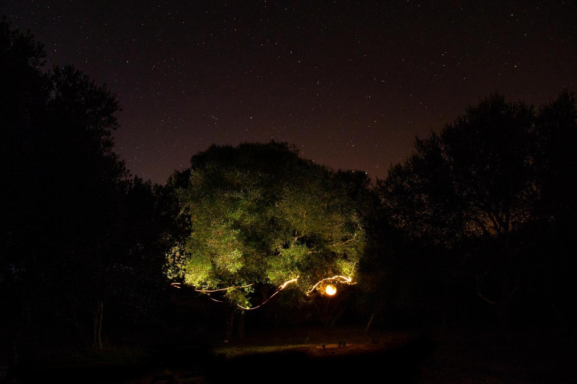 Camping Tulpa Cádiz