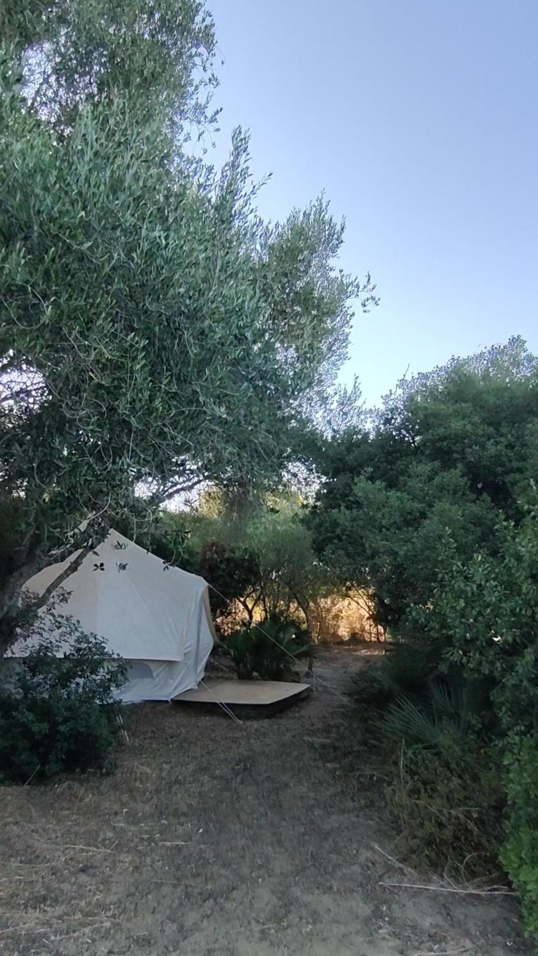 Camping Tulpa Cadiz