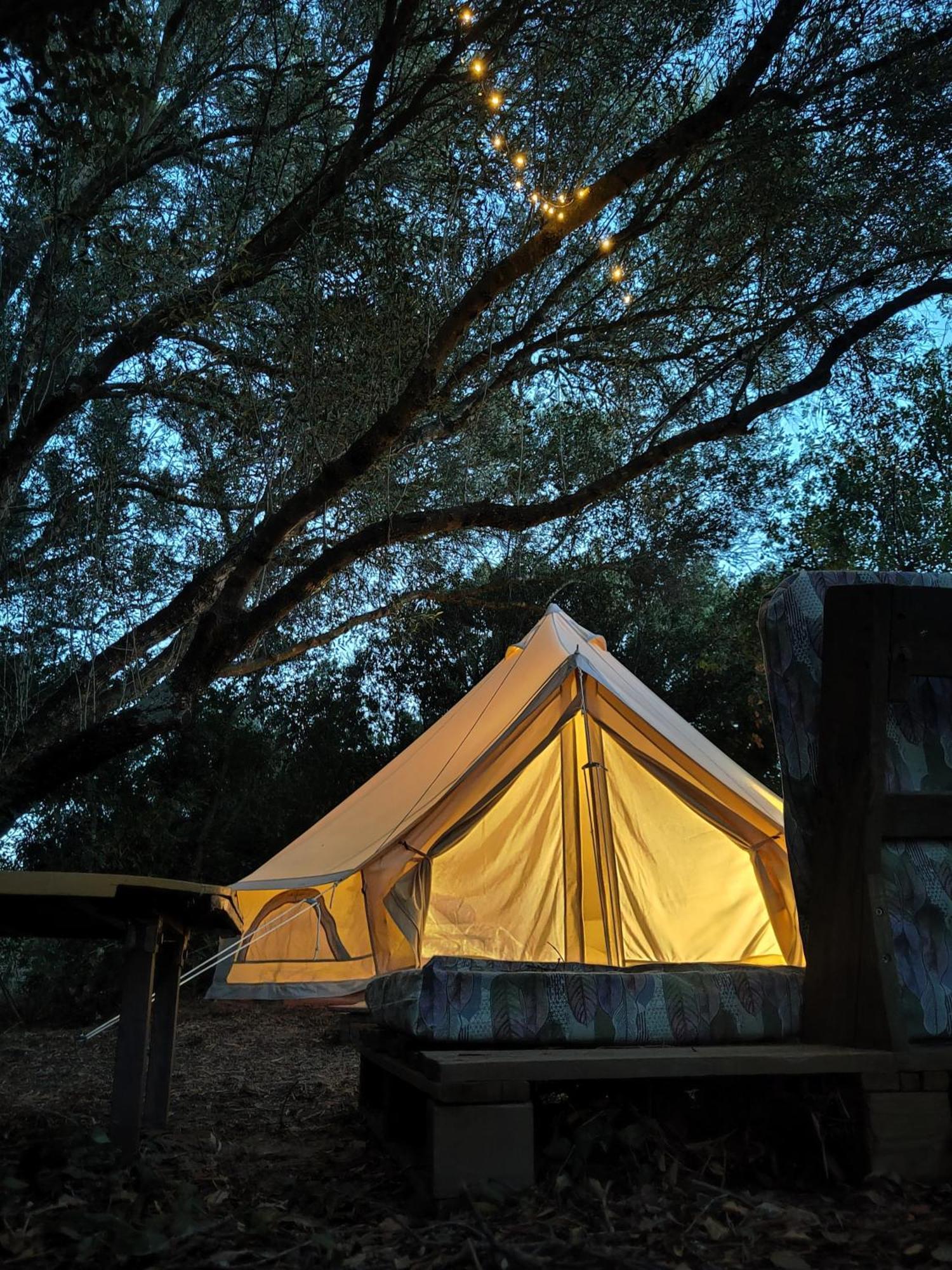 Tulpa Cadiz Camping *