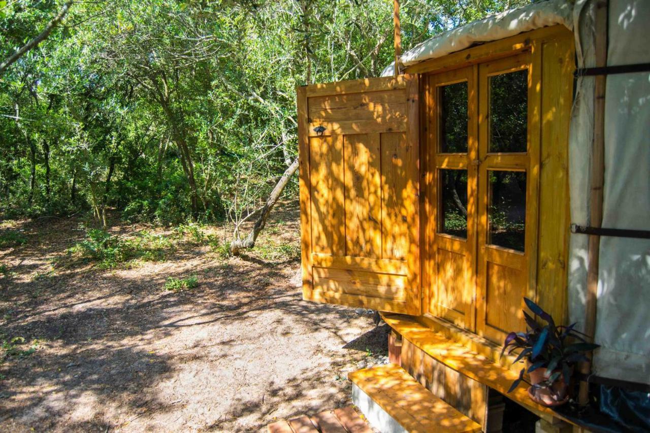 Camping Tulpa Cádiz