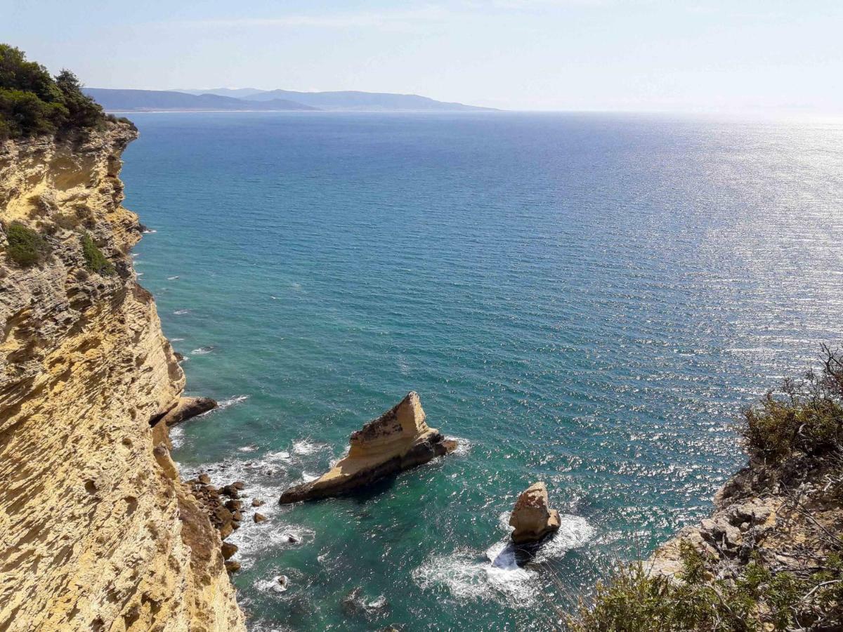 Tulpa Cádiz Malcocinado (Andalucia)