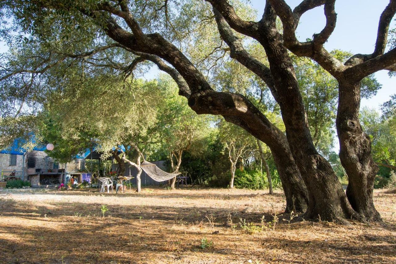 Tulpa Cádiz Camping Malcocinado (Andalucia)